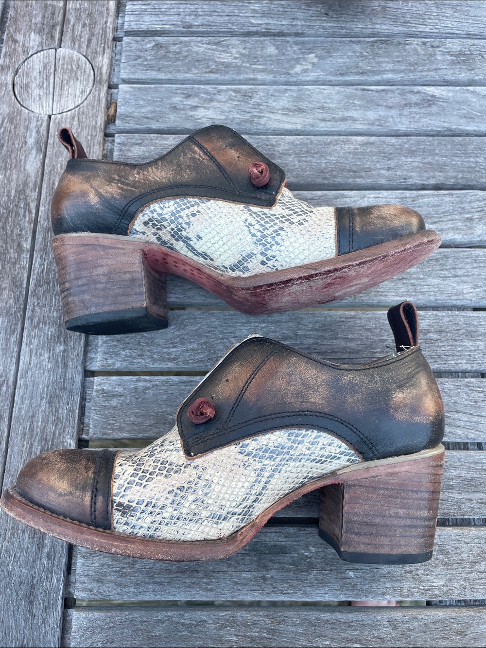 Freebird by Steven Sz 8 Catalina Brown & Cream Snake-Print Leather Heeled Oxford - Picture 9 of 15